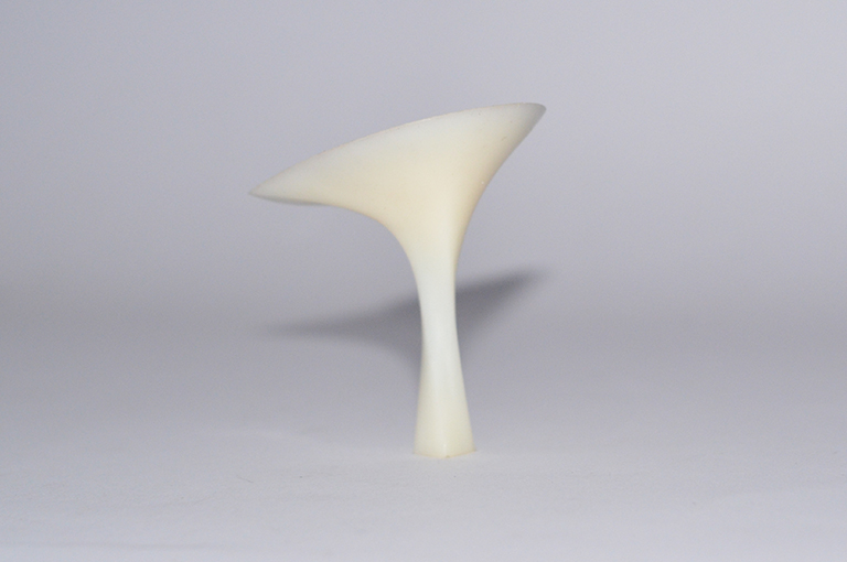 Portfolio Image